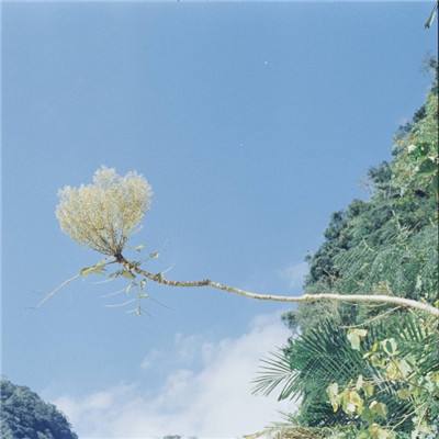 一笑江湖手游最新版下载