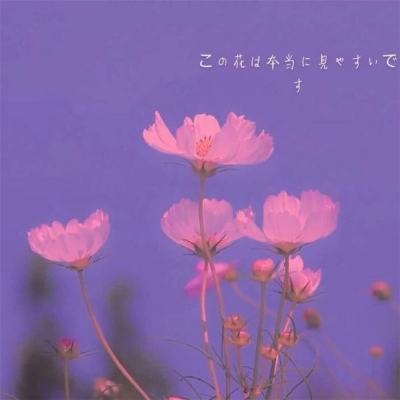 光速虚拟机旧版本下载